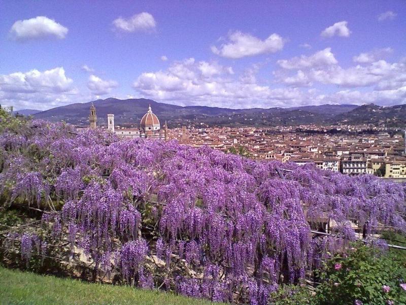 Soggiorno Alessandra Florence Exterior photo